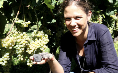 Leken toppvin fra Etna