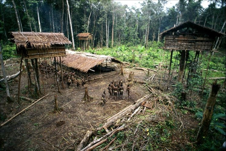 korowai-tree-house-11