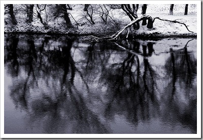 Bohóc a parton - Óbudai Kis-Duna, 2011. január 27.