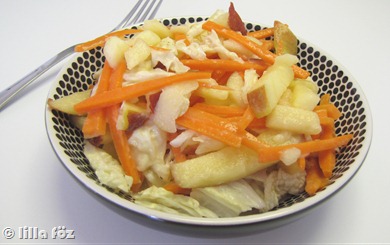 salata1