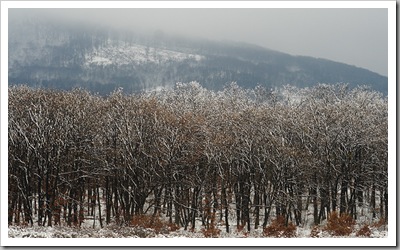 Évszakforduló - Izbég, 2010. november 27.