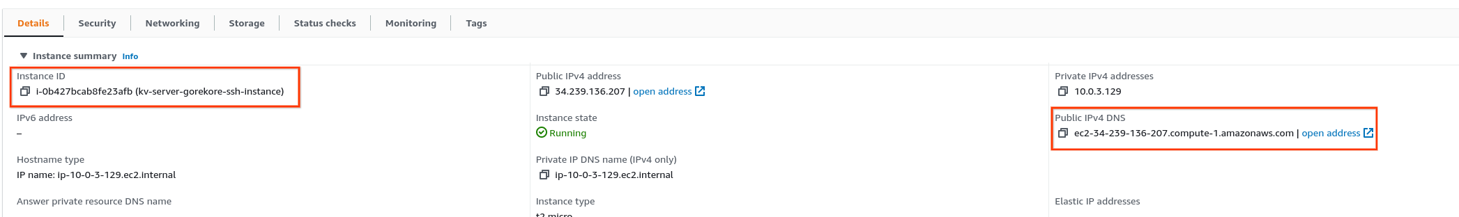 where to find the instance id or public dns for the EC2 instance