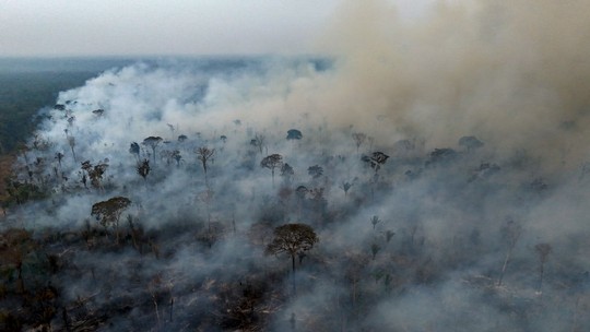 Fogo na Amazônia supera recordes e 2024 já é ano com maior área queimada