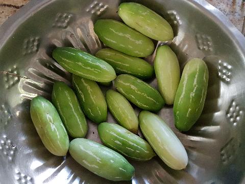 Goan Vegetables - Download Goa Photos