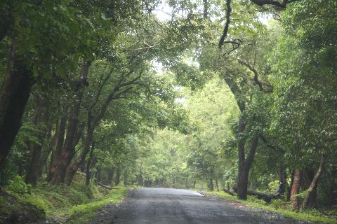 Goa Western Ghats - Download Goa Photos