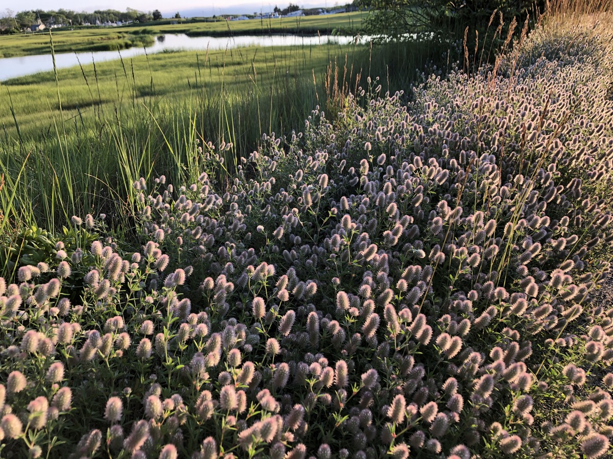 rock harbor - 27 jun 2019