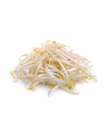 Bean-Sprouts-A-V011-827x1024