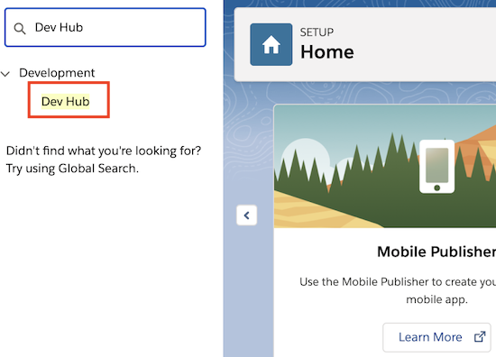 The Salesforce Dev Hub page.