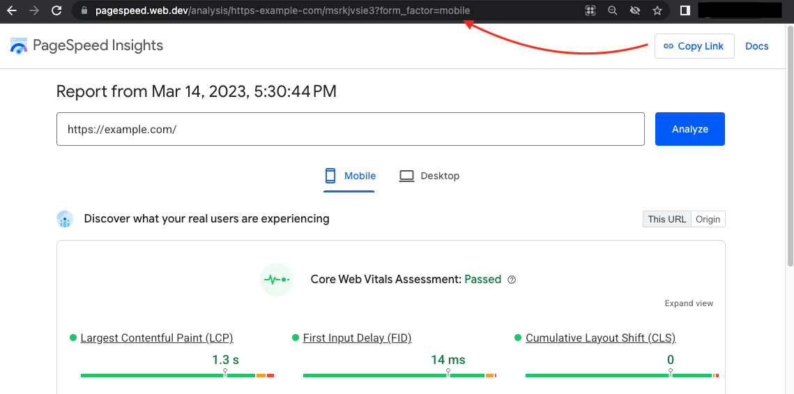 Zrzut ekranu pokazujący linki do udostępniania w interfejsie PageSpeed Insights.