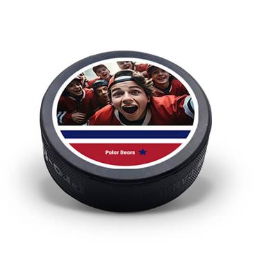 Hockey puck