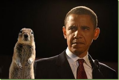 squirrel-obama