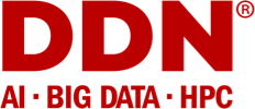 Logo DDN