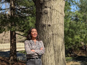 Une ville à la pointe de la foresterie urbaine pour lutter contre le changement climatique