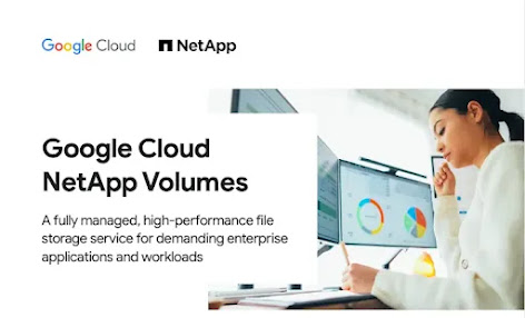 Google Cloud NetApp Volumes 和坐在電腦前的女人