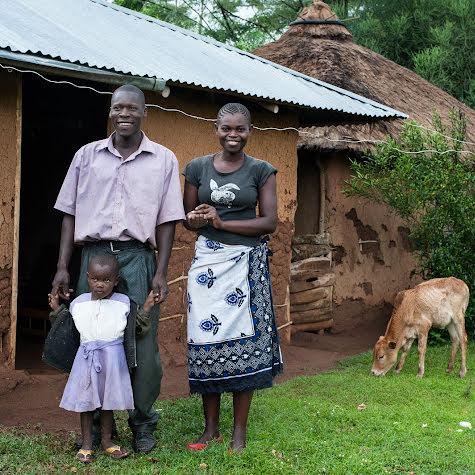 Mother, father, and young girl in front of their rural home with a young cow grazing.