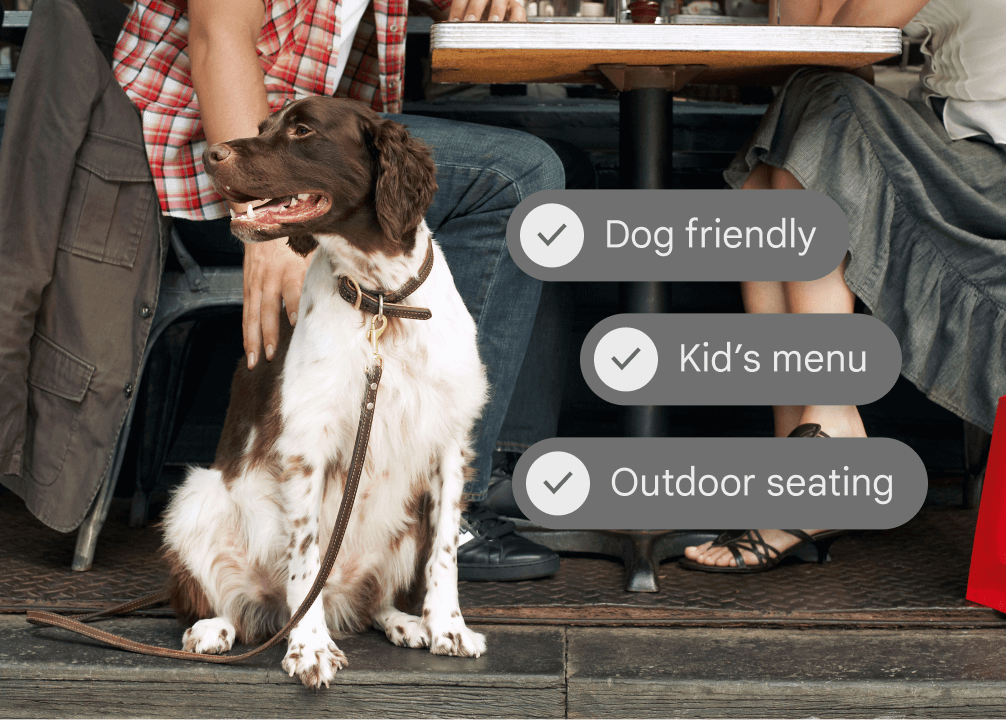 Um cachorro em uma cidade com informações sobre restaurantes