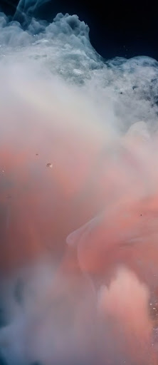 Immagine di un'onda liquida astratta color pesca con il prompt: "Onda liquida astratta color pesca".