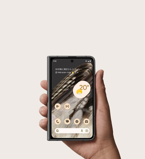 片手で持った Google Pixel Fold のディスプレイに美しい翼が表示されています