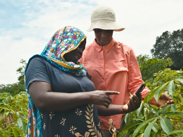 Two farmers use a smartphone while working with plants