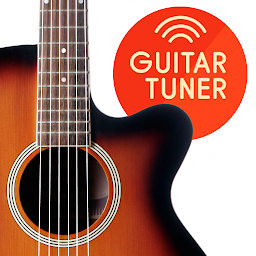 Ikoonprent Meester Guitar Tuner