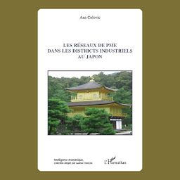 Icon image Les réseaux de PME dans les districts industriels au Japon