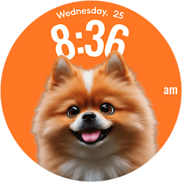 Icon image Oogly Dog