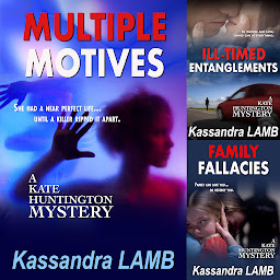 Icon image The Kate Huntington Mystery series