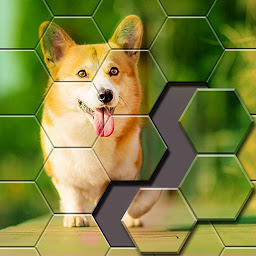 Icon image Jigsaw Puzzle -Hexa Block Game