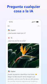 Imagen de la captura de pantalla