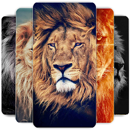 Icon image Lion Wallpapers HD