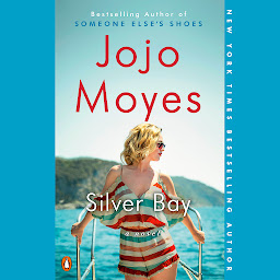 Icon image Silver Bay: A Novel