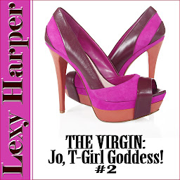 Icon image The Virgin: Transgender Erotica