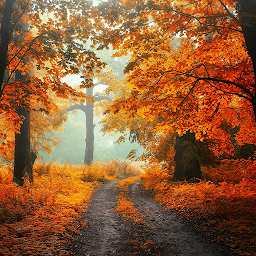 Icon image Autumn Wallpaper