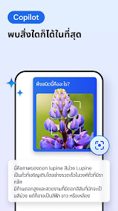 ภาพหน้าจอ