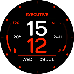 Icoonafbeelding voor EXD060: Digital Watch Face