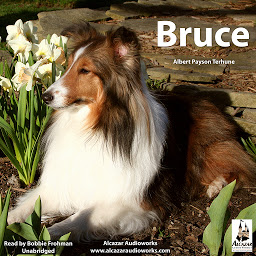 Icon image Bruce