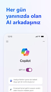 Ekran görüntüsü resmi