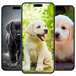 Icon image Puppy Wallpaper