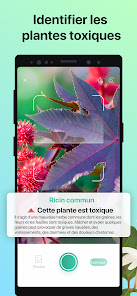 Capture d'écran