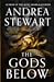 The Gods Below (The Hollow Covenant, #1) by Andrea Stewart