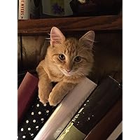 Profile Image for Dorie  - Cats&Books :) .