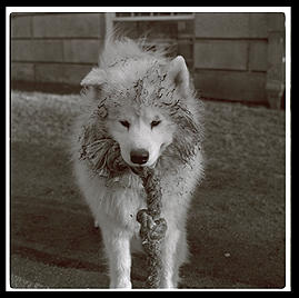 Alex.  Harvard Yard 1998.