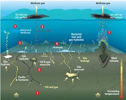 methane seep diagram