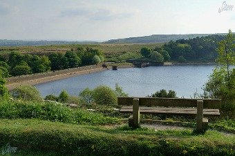 ogden water