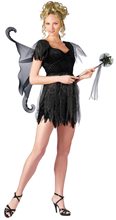 Picture of Midnite Fairy Teen Costume