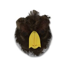 Picture of Bald Eagle Mask