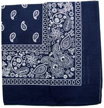 Picture of Navy Blue Paisley Bandana