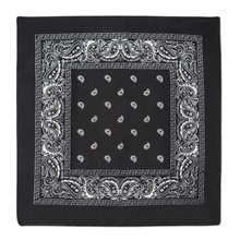 Picture of Black Paisley Bandana