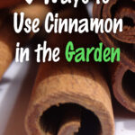 5 Ways to Use Cinnamon in the Garden