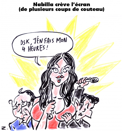 webzine,bd,gratuit,zébra,fanzine,bande-dessinée,caricature,nabilla,hollande,sarkozy,féminisme,simone de beauvoir,elisabeth badinter,dessin,presse,editorial cartoon,zombi